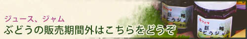 ジュース、ジャムも販売しています